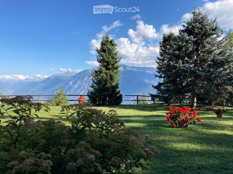 Garden 500m2 private