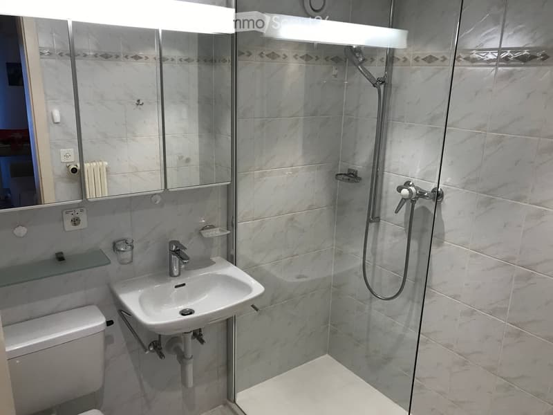 Renovated bathroom with new shower sink and WC
