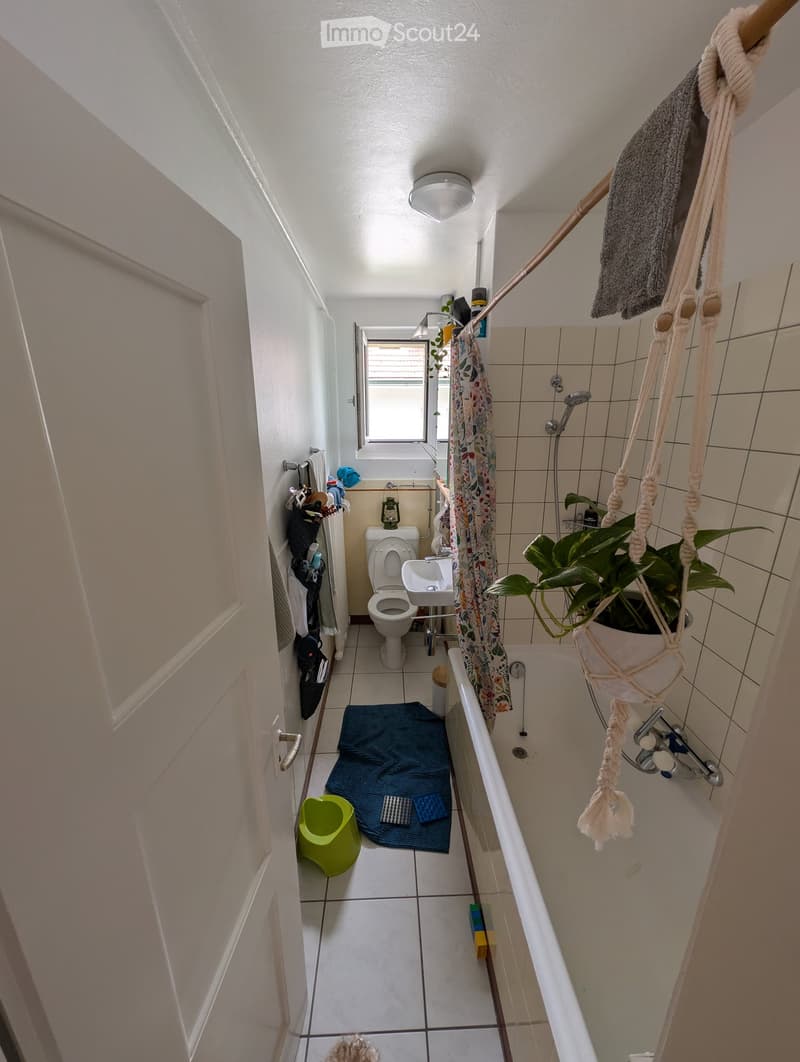 The bathroom features a toilet, sink, bathtub, and shower area. A hanging plant is visible, along with a colorful curtain, a small green stool, and a blue rug on the floor.