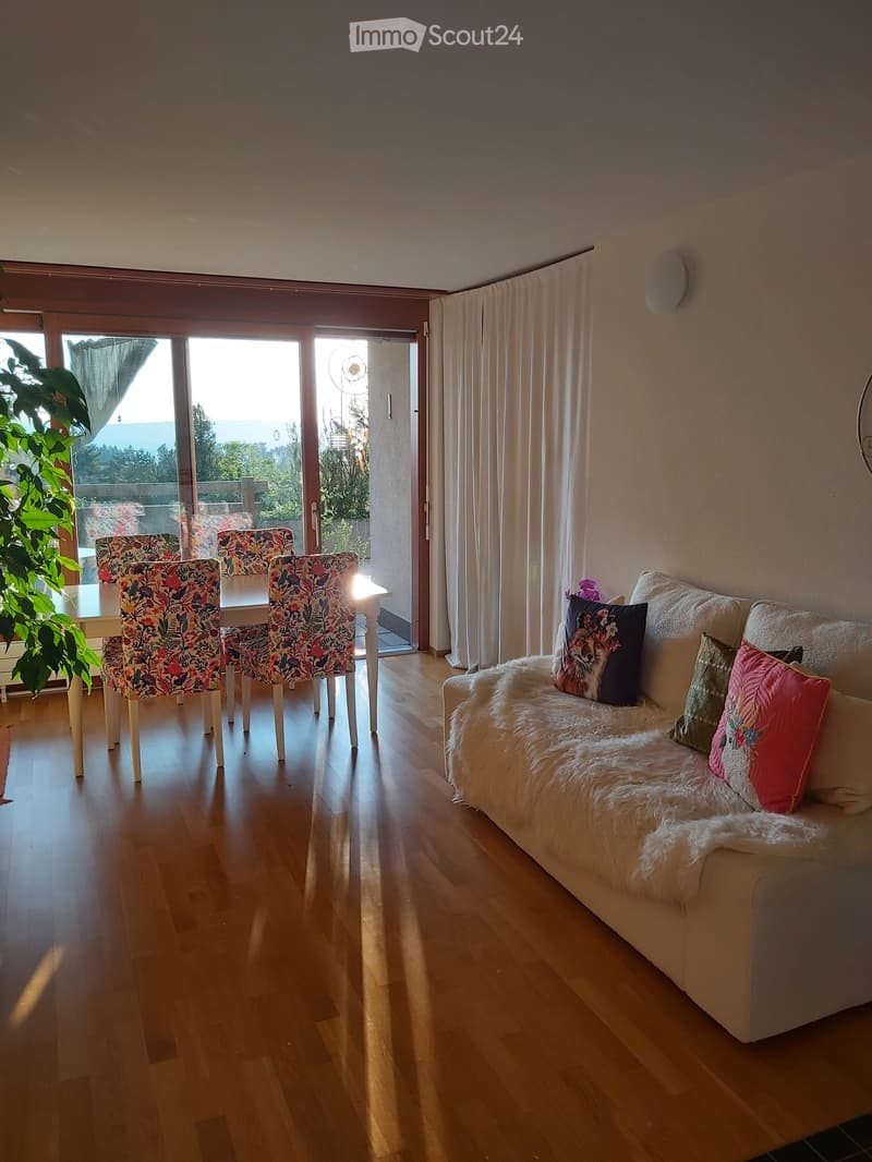 Living room with a white sofa, fur throw, colorful pillows, a small table with chairs, and a large plant near the sliding glass door.