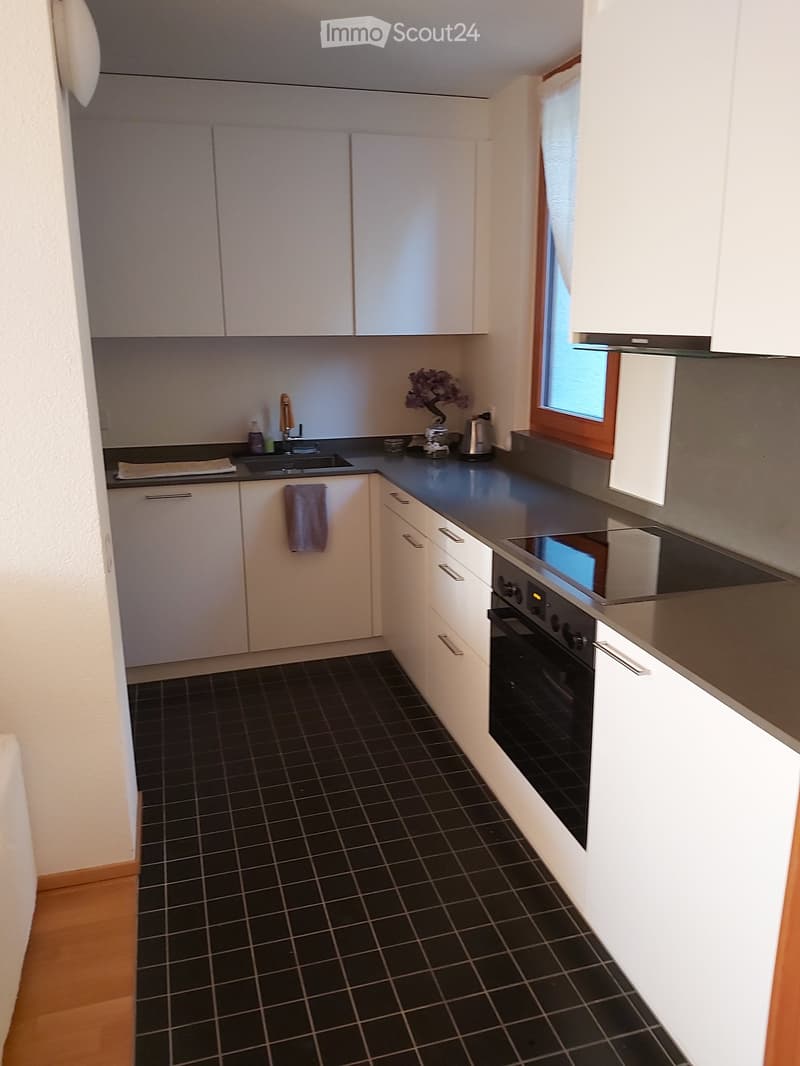 Modern kitchen with white cabinets, black tiled floor, stainless steel oven, and countertop. Features a sink with a faucet, a small decorative plant, and a towel hanging from a cabinet.