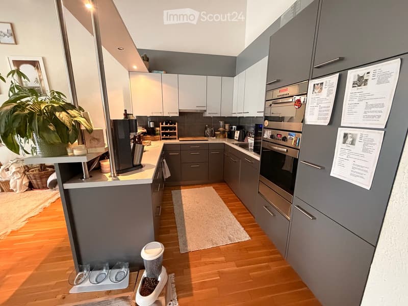 Modern kitchen with grey cabinets, stainless steel appliances, and a central island. Includes a coffee machine, wine rack, and cat food dispenser.