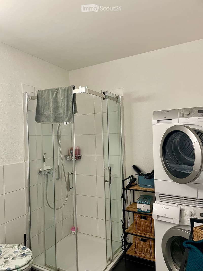 Modern bathroom with a glass-enclosed shower, a toilet with a floral-patterned seat cover, a washing machine, and a small wooden shelf holding baskets and personal care items.