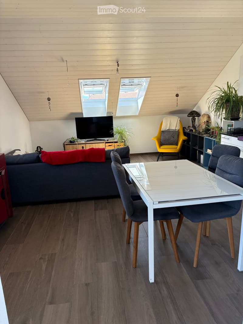 A modern, open-plan living and dining area with wooden flooring, a grey sofa, a white dining table with four chairs, a television, and decorative plants.