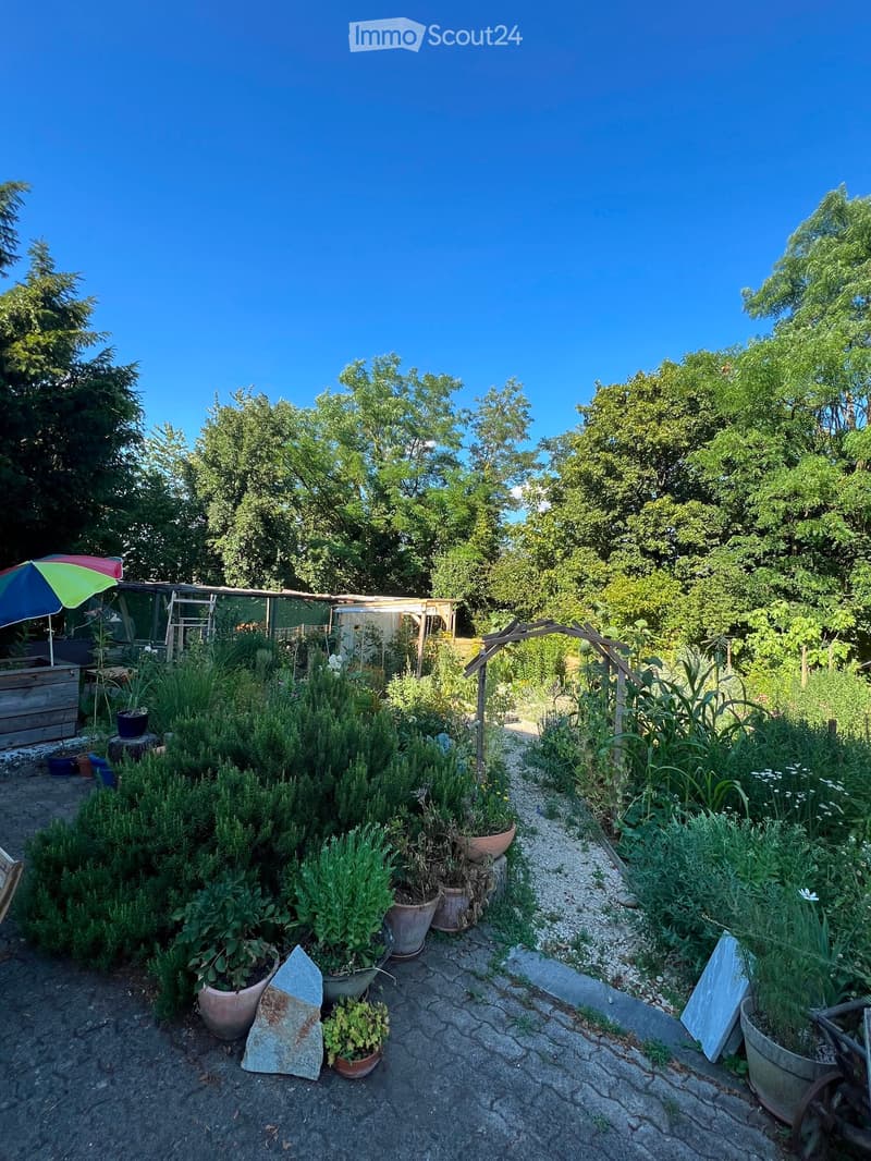 Well-maintained garden with various potted plants, herbs, and shrubs arranged along a stone pathway, surrounded by trees and greenery under a clear blue sky.