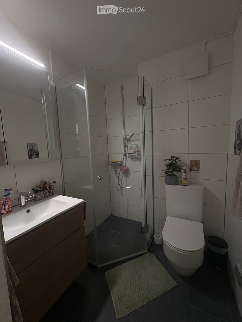 Modern bathroom with a glass-enclosed shower, a sink with a wooden cabinet, a toilet, a small plant on the toilet tank, and a towel on the floor.