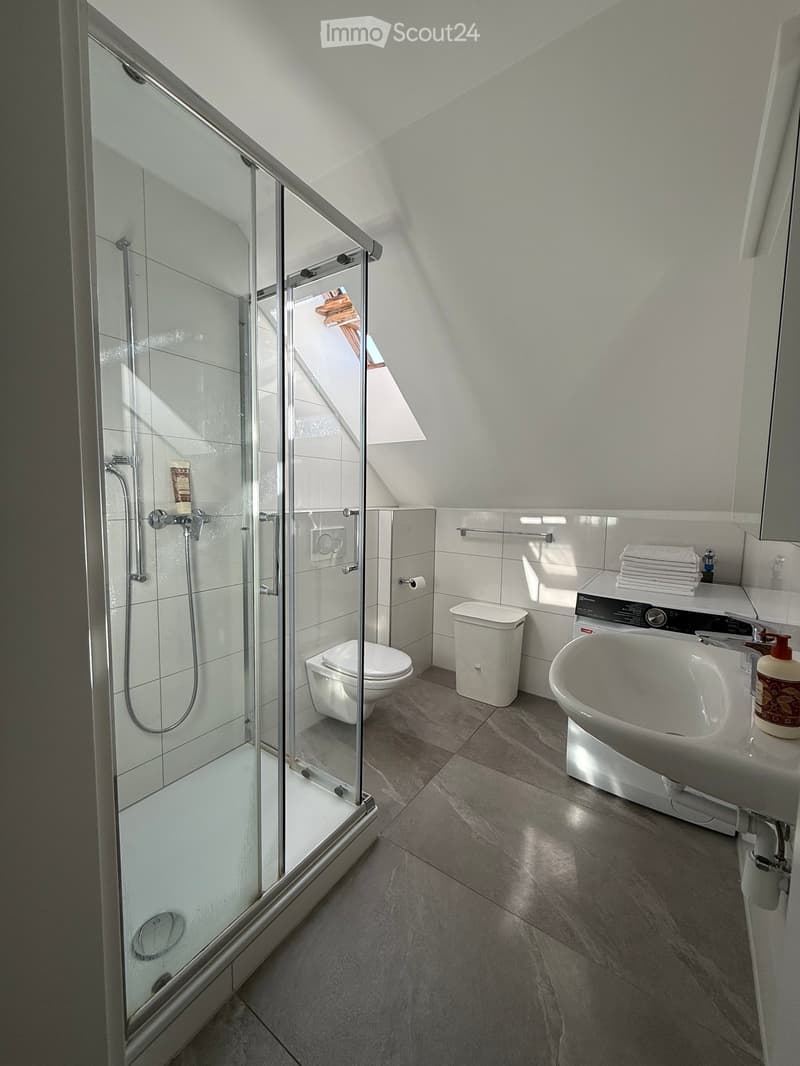 Modern bathroom with a glass-enclosed shower, toilet, sink, and mirror. Features include a towel rack, trash bin, and a skylight window providing natural light.