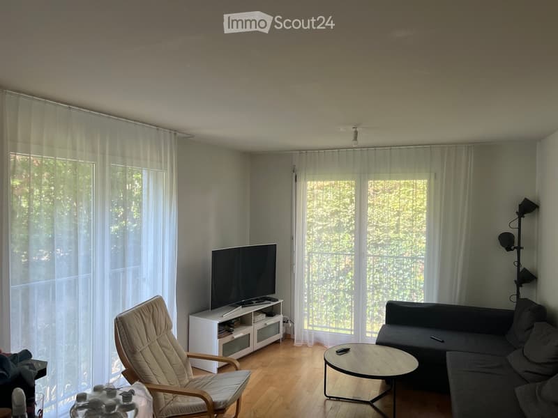 Living room with wooden flooring, large windows with sheer curtains, a grey sofa, a round coffee table, a TV on a white stand, and a beige armchair.