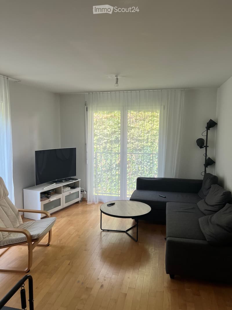 Modern living room with wooden flooring, large window with sheer curtains, grey sectional sofa, round coffee table, TV stand, and a single armchair.