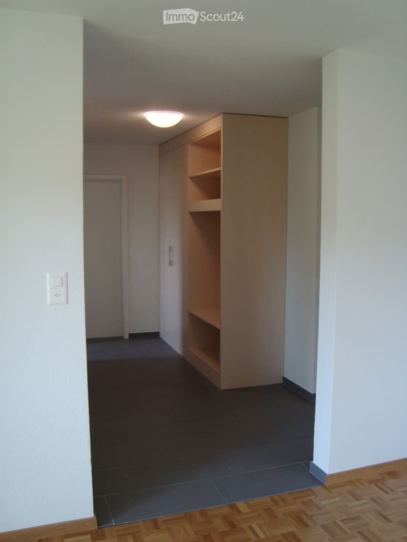 Empty hallway with white walls, dark tiled floor, wooden flooring in the foreground, and a built-in wooden shelf unit with open compartments.