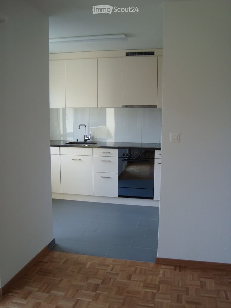 Modern kitchen with white cabinets, stainless steel sink and faucet, built-in oven, and a combination of wooden and tiled flooring.