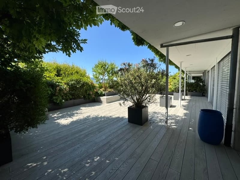 A modern wooden deck area with a clean, minimalist design. Features include a large potted plant, a blue barrel, and surrounding greenery. The deck is shaded by an overhanging roof and has a smooth, light-colored wooden surface.