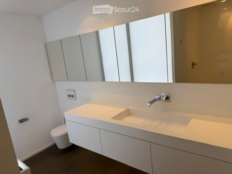 Modern bathroom with a white sink, large mirror, and sleek cabinetry.