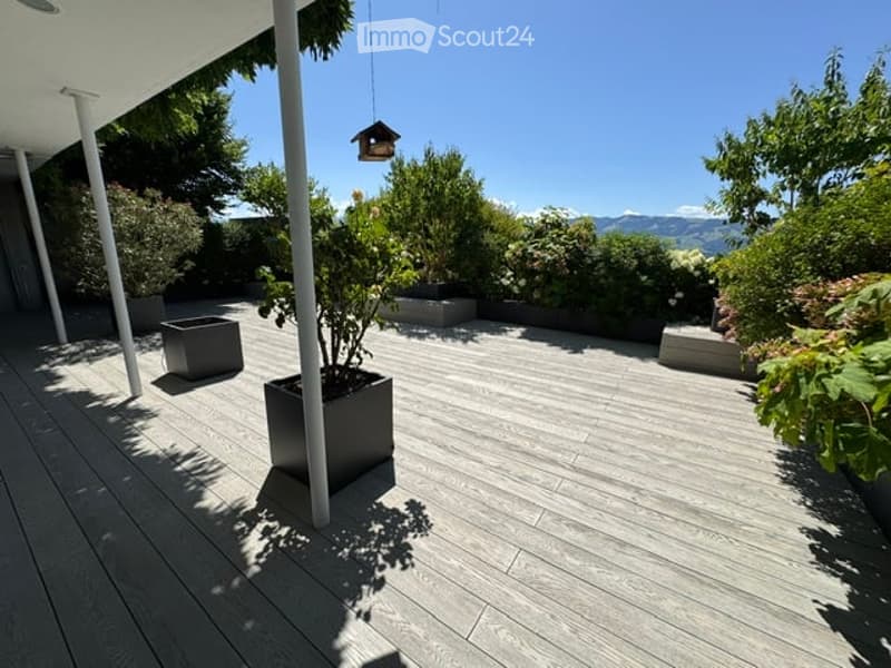 Modern outdoor patio with wooden decking, potted plants, and a view of mountains in the background.
