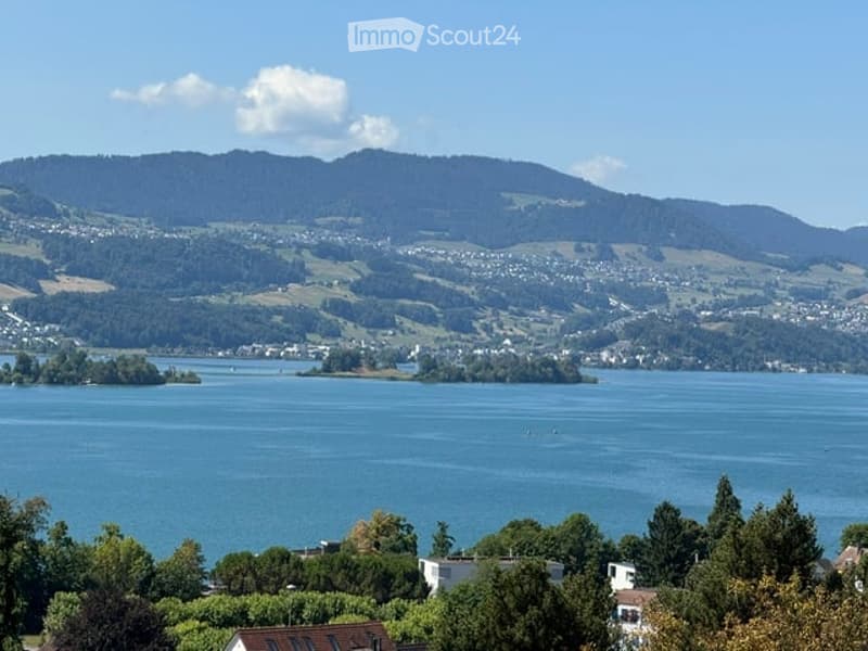 Panoramic view of a lake surrounded by green hills and scattered houses, with a clear blue sky and distant mountains.