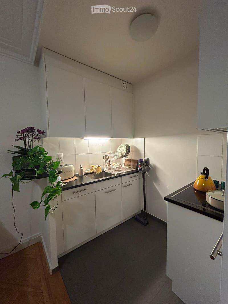Modern kitchen with white cabinets, black countertops, and a small plant on the counter. Includes a toaster, dish rack, teapot, and bowl.