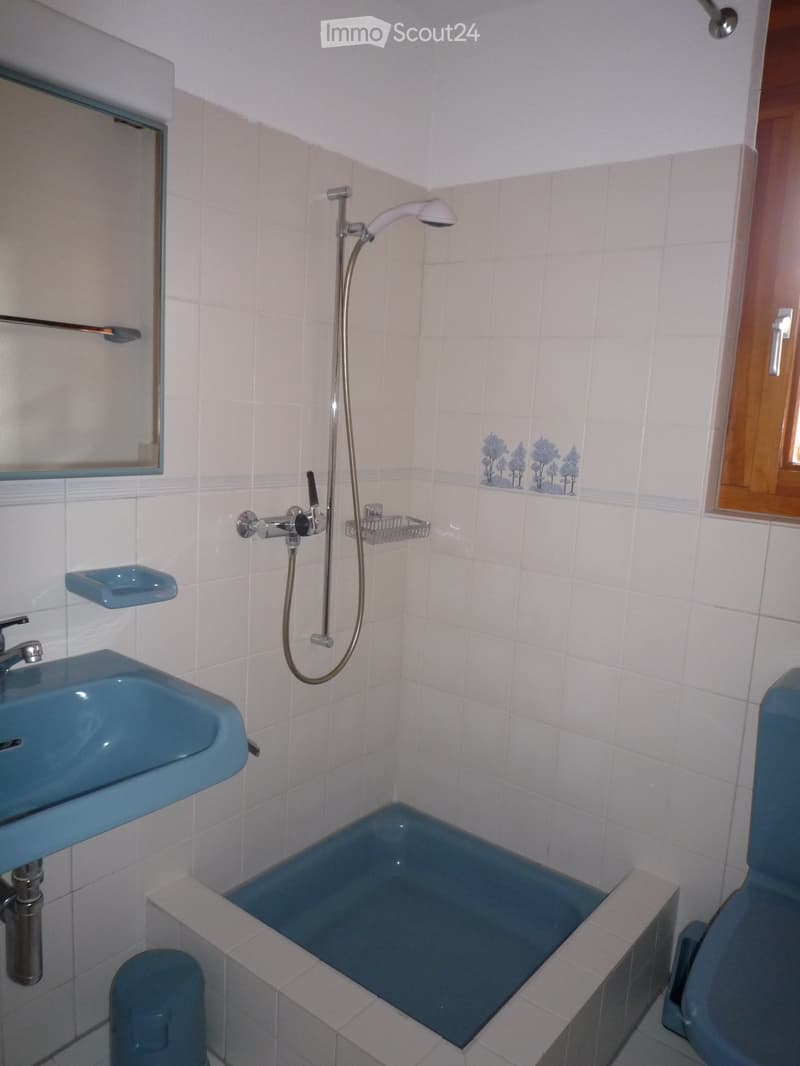Bathroom with bathtub, sink, mirror, shower, toilet