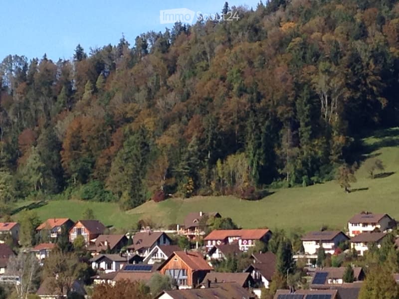 Aerial view of a village with several houses, surrounded by trees and a hill, some houses have solar panels