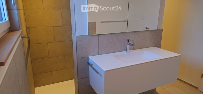Bathroom. Modern bathroom with a white sink, chrome faucet, built-in cabinet, and a mirrored cabinet above.