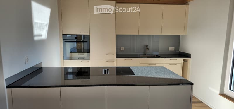 Modern kitchen with light-colored cabinets, black countertops, and stainless steel appliances including an oven and sink.
