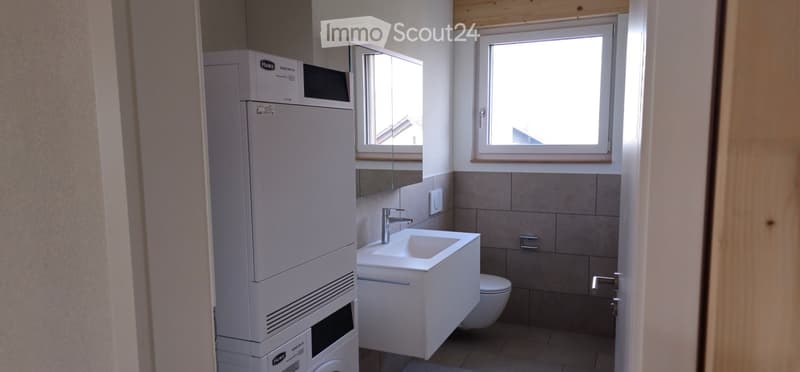 Modern bathroom with a white sink, chrome faucet, mirror, toilet, and a white washing machine. The walls are tiled in a neutral color, and there are two windows providing natural light.
