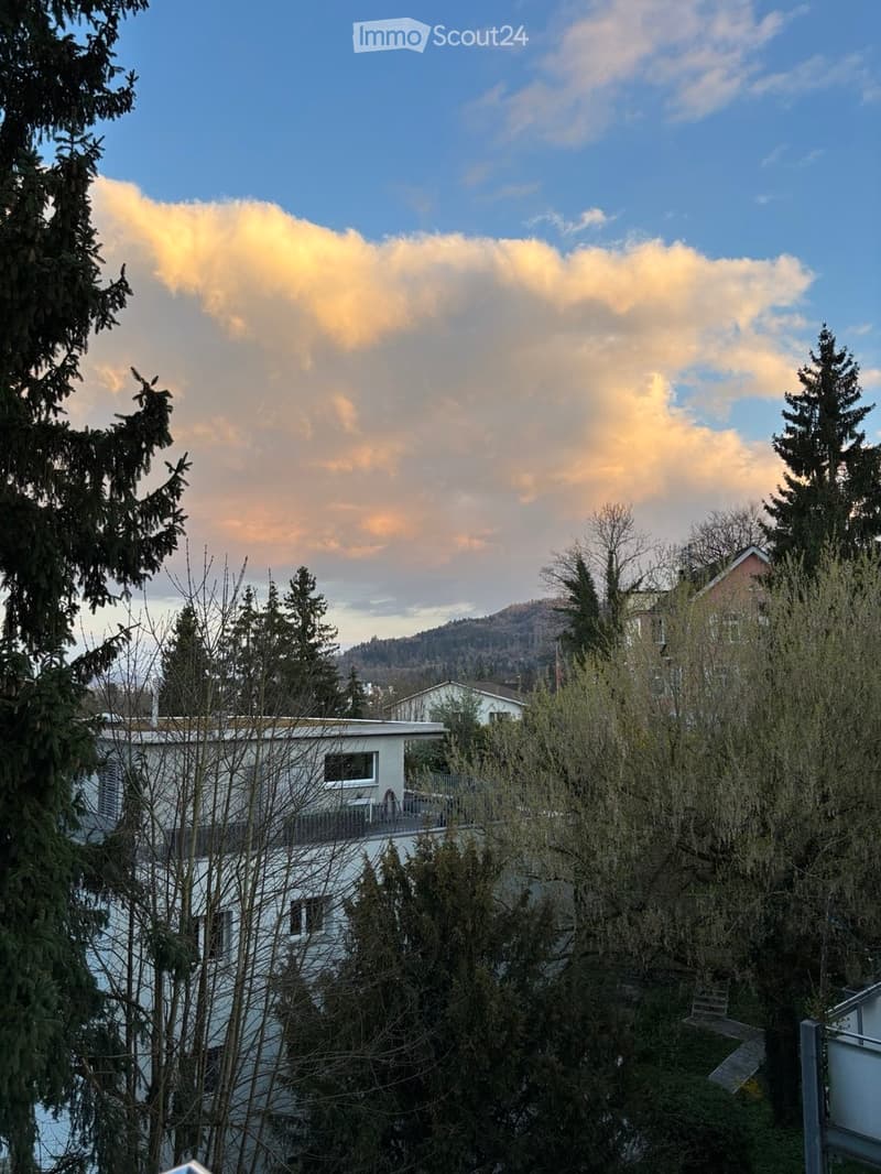 View of a residential area with houses, trees, and a scenic sky with clouds.