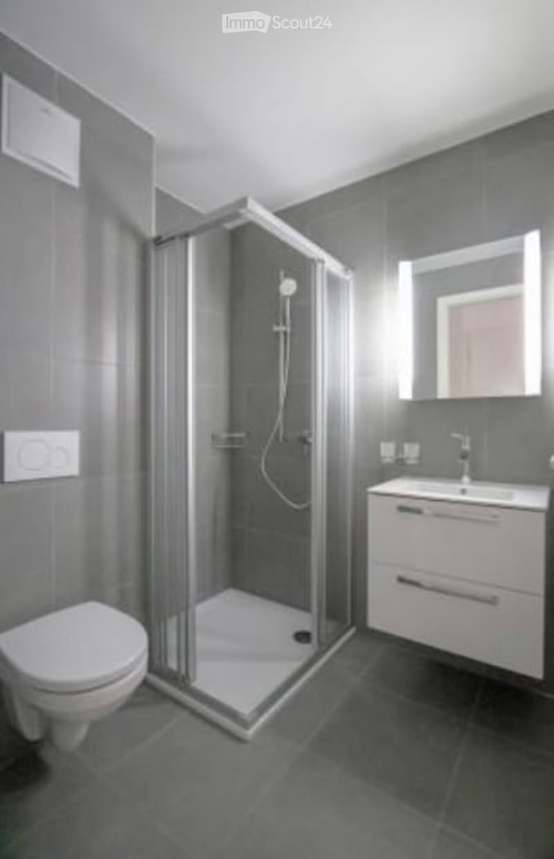 Modern bathroom with grey tiles, a white toilet, a glass-enclosed shower, a white sink cabinet, and a mirror above the sink.