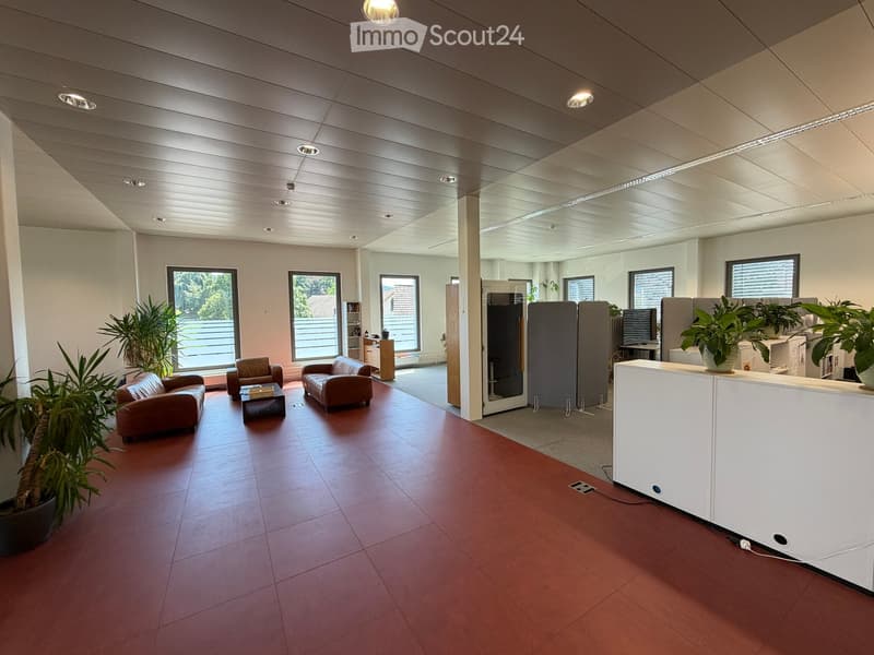 Modern office space with a reception area, seating area, and large windows. Features include a white reception desk, leather sofas, a small coffee table, potted plants, and a screen.