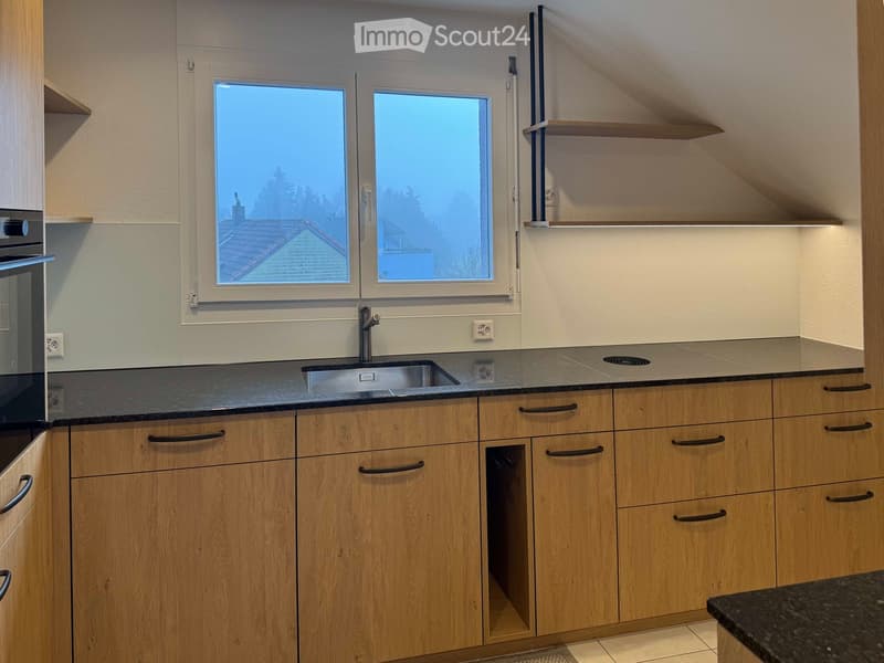 Modern kitchen with light wooden cabinets, black granite countertop, stainless steel sink, and built-in oven. Large windows offer a view of the roof and surrounding area.