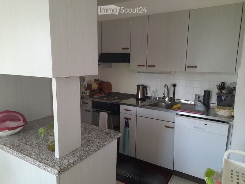 {"type": "Kitchen", "objects": ["oven", "dishwasher", "sink", "faucet", "cupboard", "fridge", "oven", "faucet", "cupboard", "cupboard", "cupboard", "cupboard", "cupboard", "cupboard", "cupboard", "cupboard", "cupboard", "cupboard", "cupboard", "cupboard",