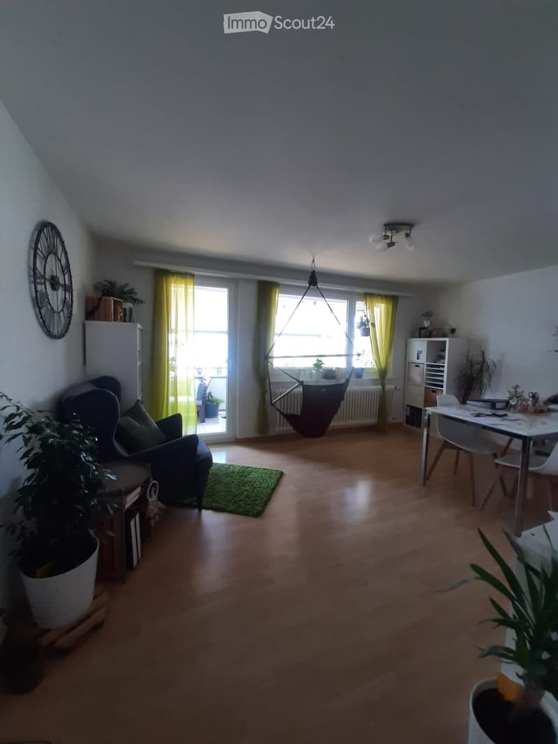 A cozy living room with wooden flooring, a sofa, a dining table with chairs, a hanging hamock, and several potted plants.