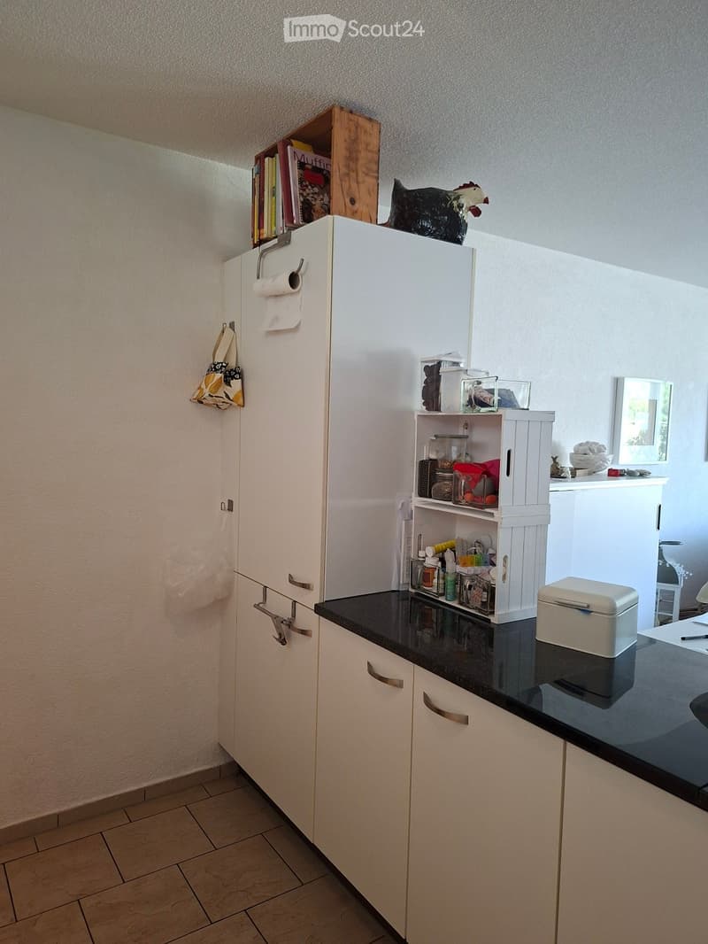 A modern kitchen with white cabinets, a black countertop, and various storage items including books, a decorative rooster, and containers. A toilet paper roll is mounted on the wall, and a mirror is visible in the background.