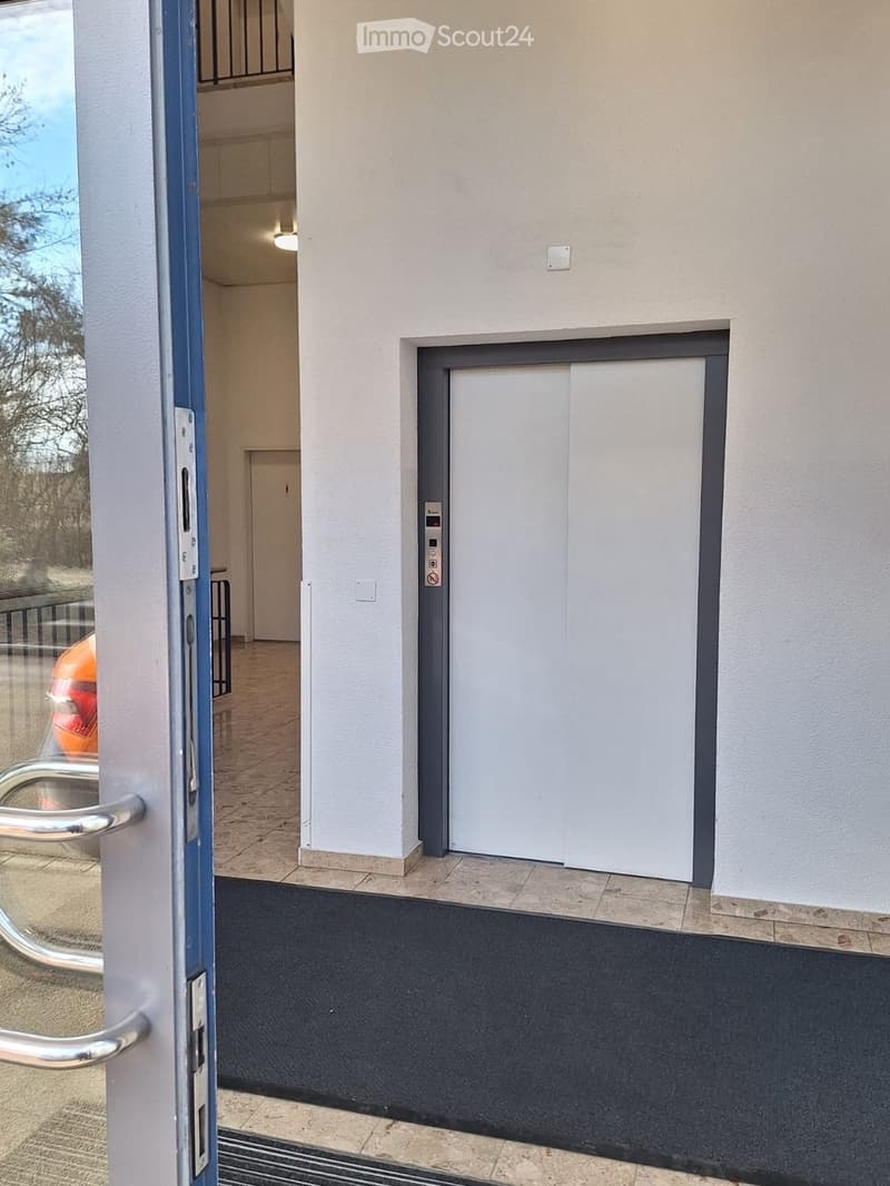 Entrance area with a raised ground floor, featuring a white elevator door, a glass door with a metal handle, and a tiled floor.