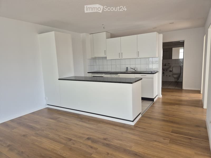 Modern kitchen with white cabinets, black countertop, and wooden flooring, connected to a small bathroom with a toilet and sink.