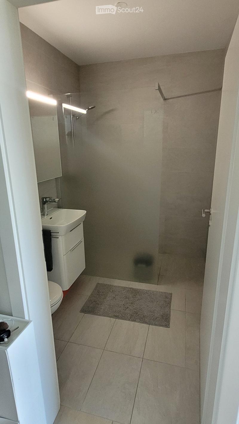 Modern bathroom with a white sink, mirror, toilet, and a glass-enclosed shower area. The floor is tiled, and a small rug is placed in front of the shower.
