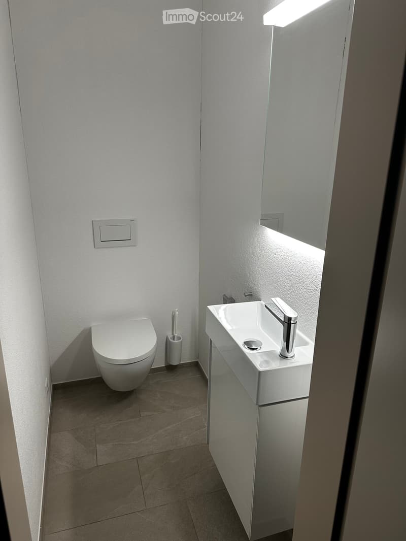 Modern bathroom with a white toilet, a white sink with a chrome faucet, and a toothbrush holder on the floor.