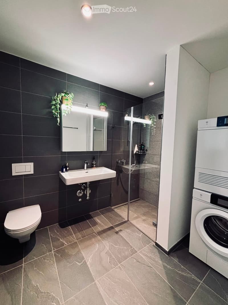 Modern bathroom with dark tiled walls, a white sink, a toilet, a glass-enclosed shower, and a washing machine. Features include a large mirror with built-in lighting and small decorative plants.