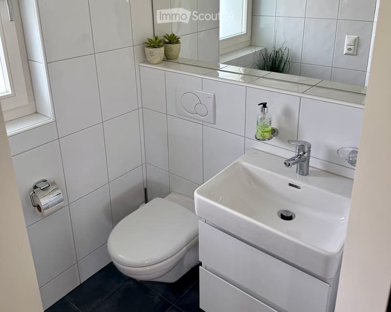 Modern bathroom with white tiles, a toilet, a sink with a chrome faucet, a mirror, a soap dispenser, and two small potted plants on the windowsill.