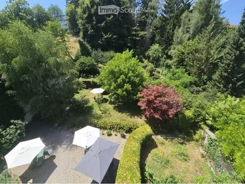A lush garden area with various trees, shrubs, and a paved patio with several white umbrellas.