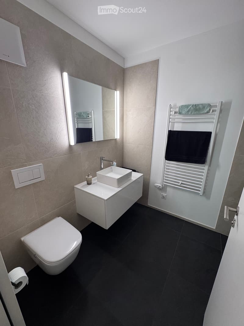 Modern bathroom with a white toilet, sink, and mirror. Features a towel rack with towels, a soap dispenser, and a toilet paper holder.