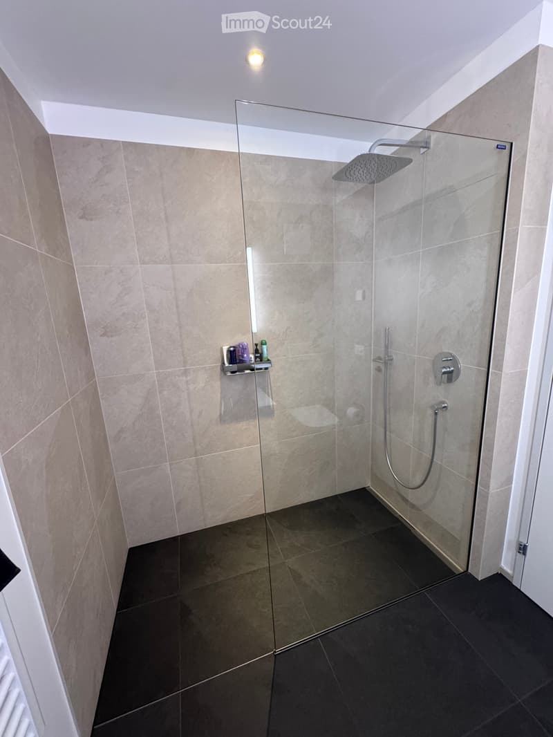 Modern bathroom with a glass-enclosed shower, dark tiled floor, beige tiled walls, and a built-in shower shelf holding toiletries.