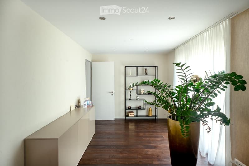 Empty hallway with white walls, wooden floor, white curtains, a large plant and a modern cabinet