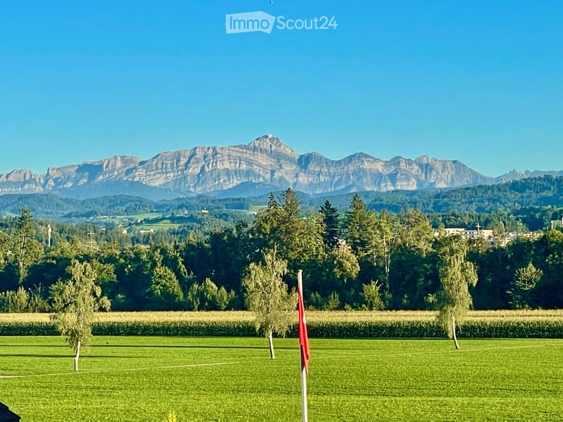 Green field, several trees, red flag, mountains in the background