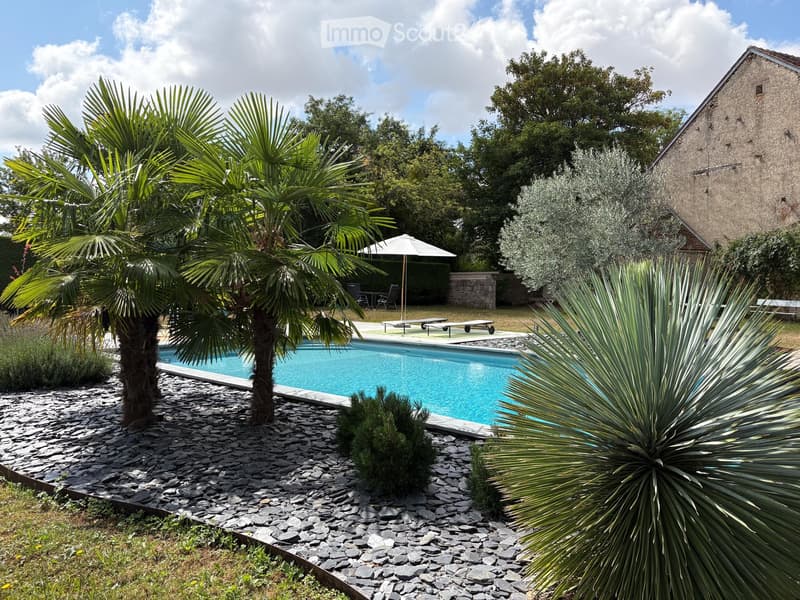 Outdoor garden area with a swimming pool, surrounded by palm trees, lounge chairs, and a stone pathway.