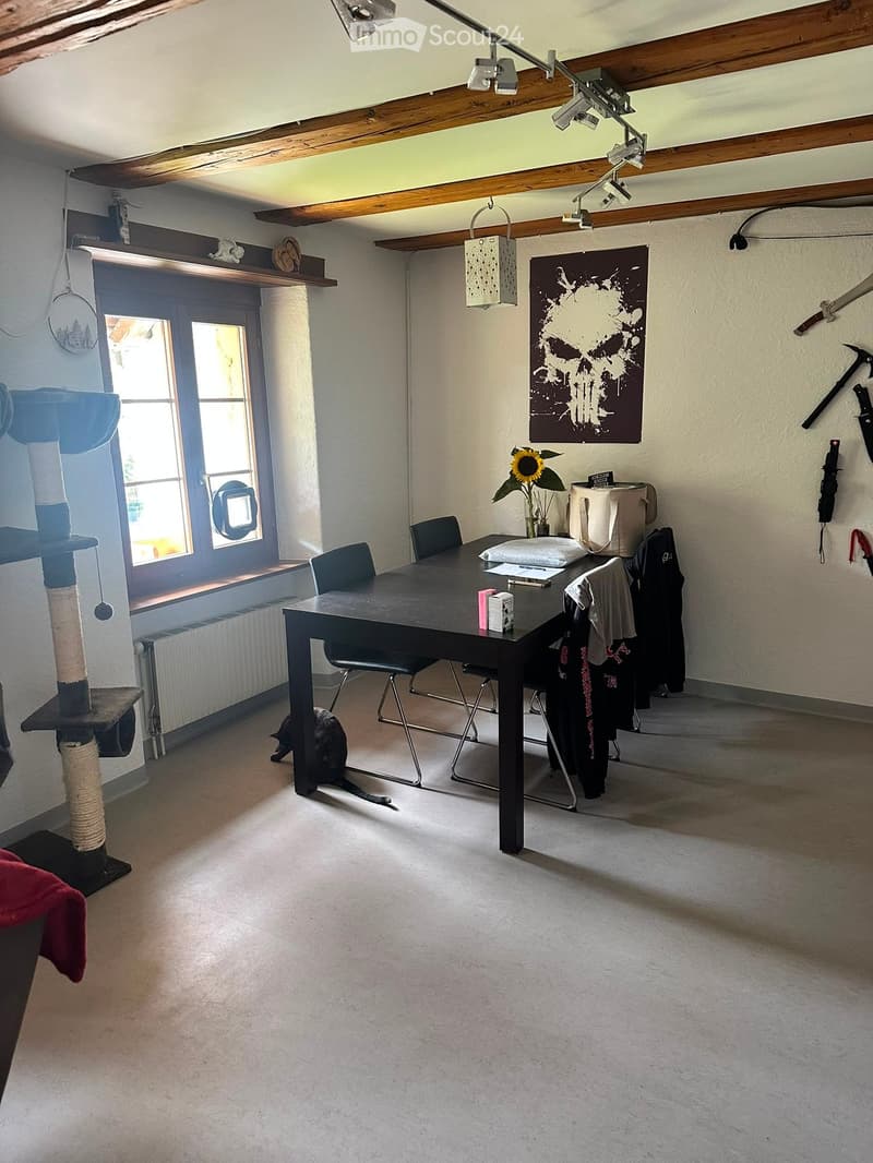 Dining area with a black table, four chairs, a cat tree, and a cat. There is a vase with a sunflower on the table, a picture frame on the wall, and a hanging lamp.