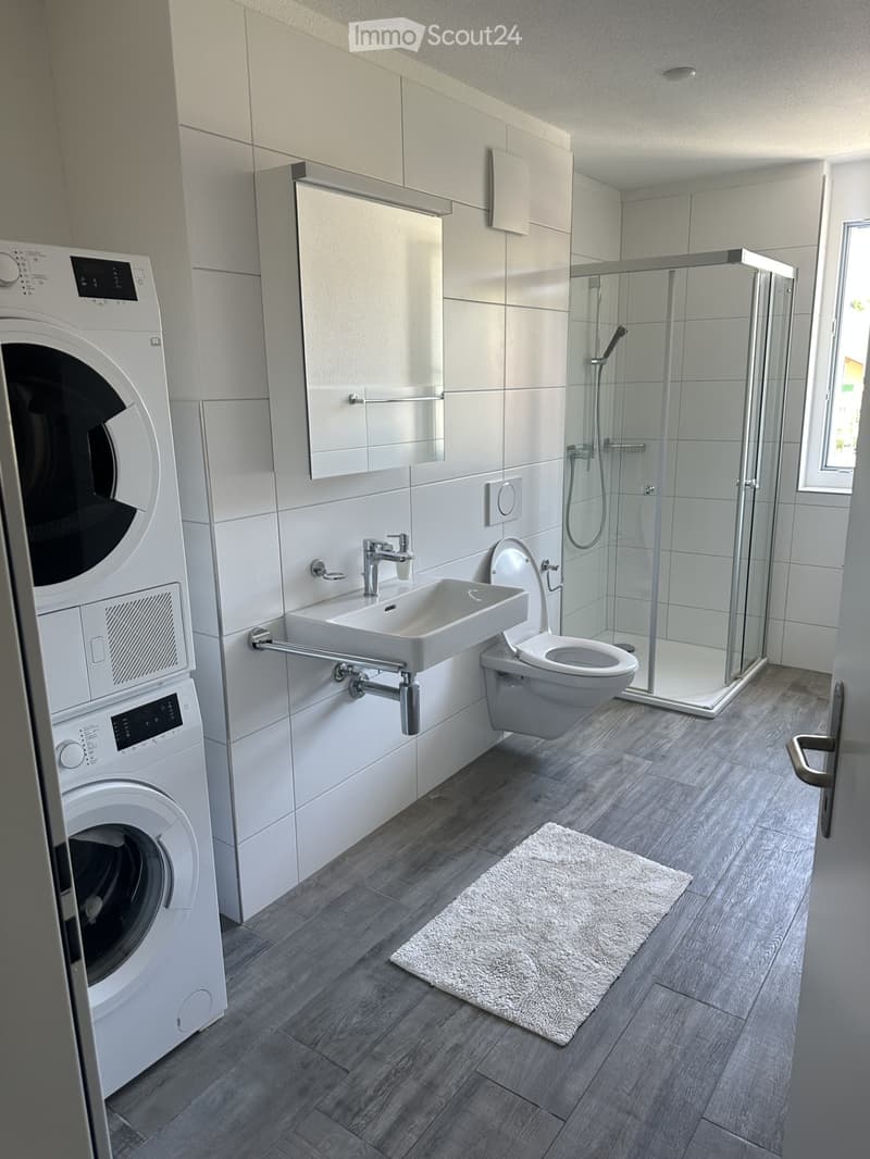 Modern bathroom with a washing machine, sink, toilet, shower, and a small white rug on the floor.
