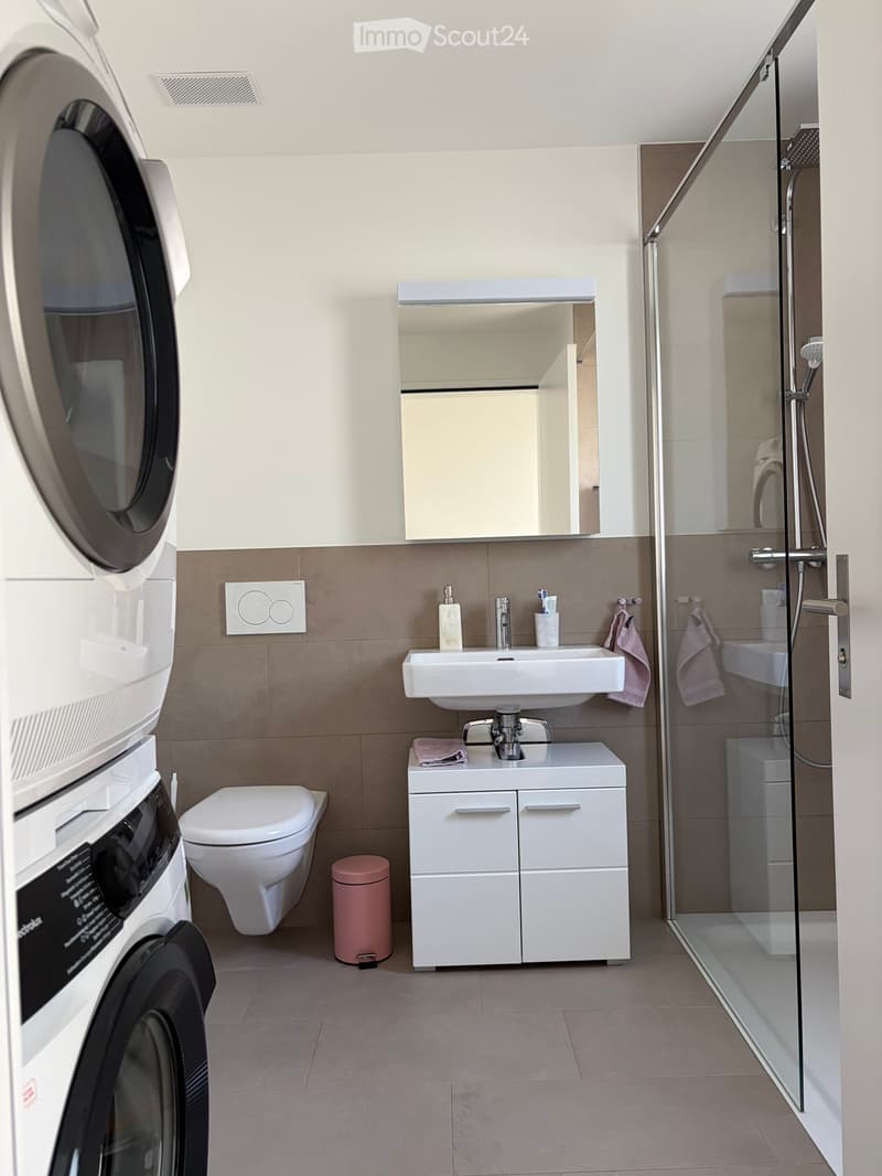 Modern bathroom with a white sink, mirror, toilet, shower, washing machine, and a pink trash can.