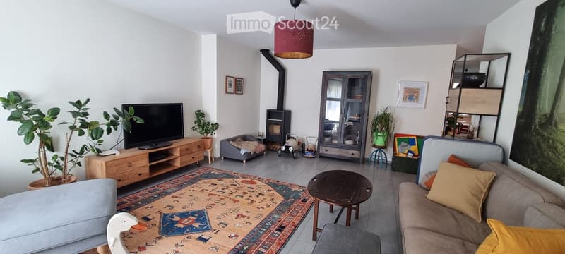 Modern living room with a fireplace, large sofa, coffee table, television, and decorative plants.