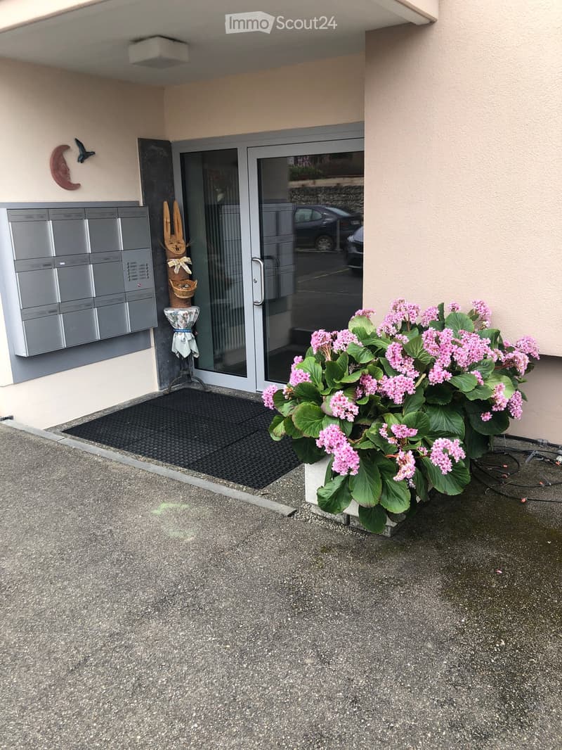 Entrance area with a potted plant, mailboxes, and a decorative wooden figure near the door.