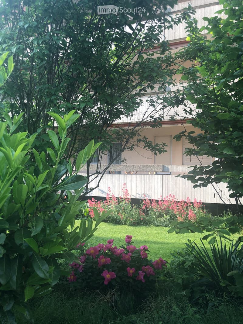 A well-maintained garden with a variety of flowering plants, shrubs, and a neatly trimmed lawn, with a wooden fence and a modern building in the background.